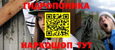 прущие крисы Заволжье