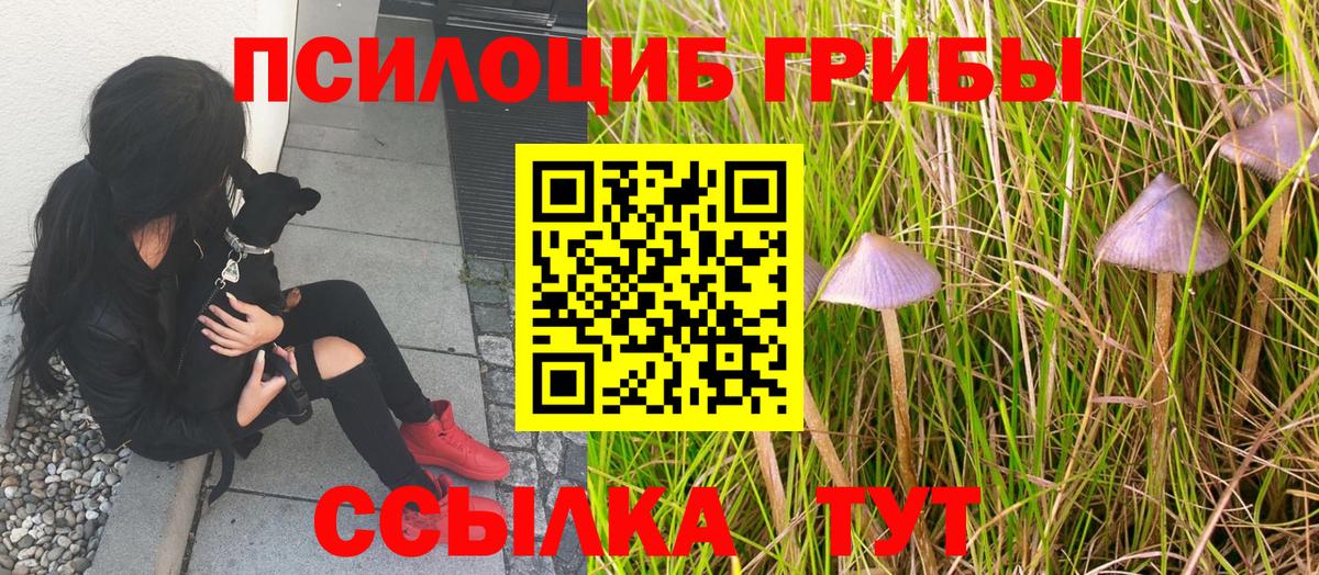 Галлюциногенные грибы Magic Shrooms  Галлюциногенные грибы Psilocybine cubensis  Вход с VPN  Магадан 