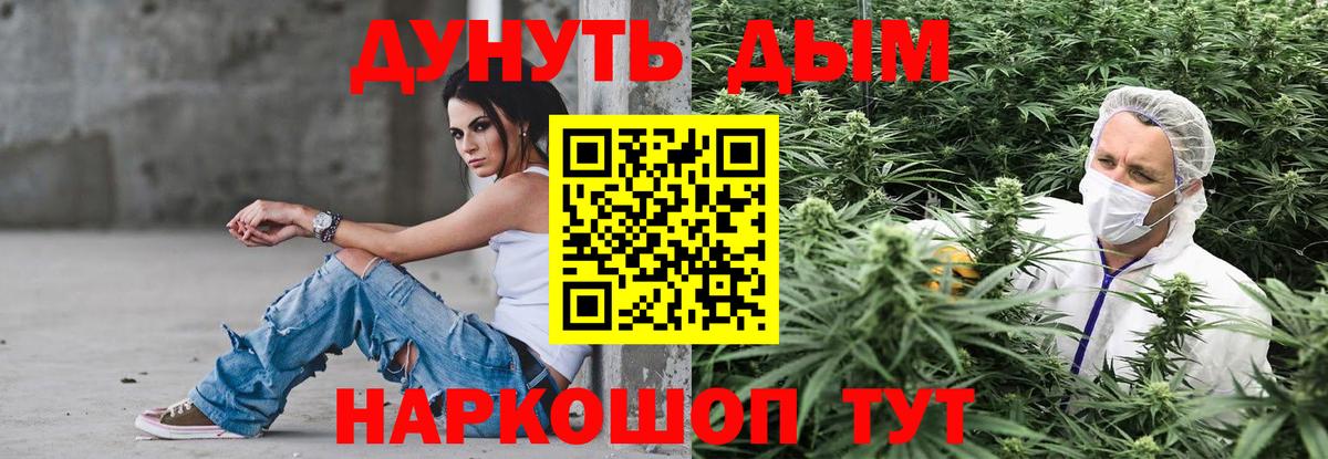 Бошки марихуана сатива Магадан